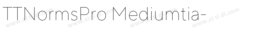 TTNormsPro Mediumtia字体转换